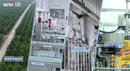 从被低估的沃土到世界之巅 一座中国城市的坚果巨头与教育软件技术开发传奇